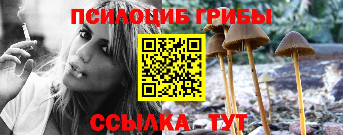 Галлюциногенные грибы мицелий  Вход с VPN  Северск 