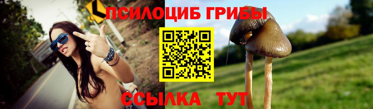 Галлюциногенные грибы прущие грибы Северск